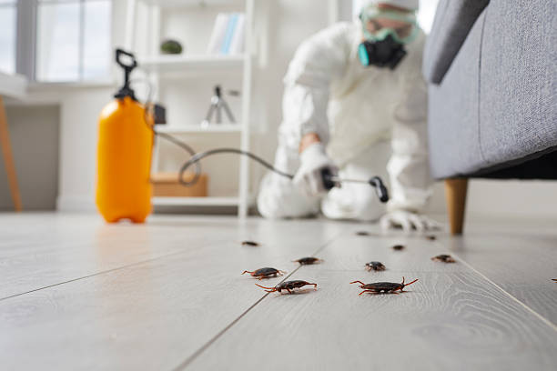 Trusted Fumigation Services service in Green Valley, MD - Nex Pest Control