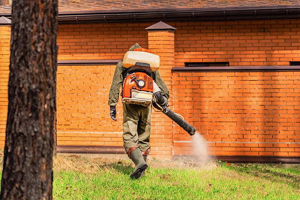 Trusted Termite Control service in Green Valley, MD - Nex Pest Control